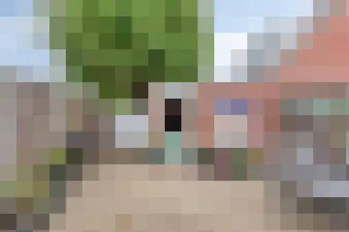Bovengroenewoudseweg 63 Bergen op Zoom thumbnail 38