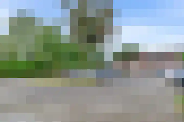 Bovengroenewoudseweg 65 Bergen op Zoom thumbnail 37