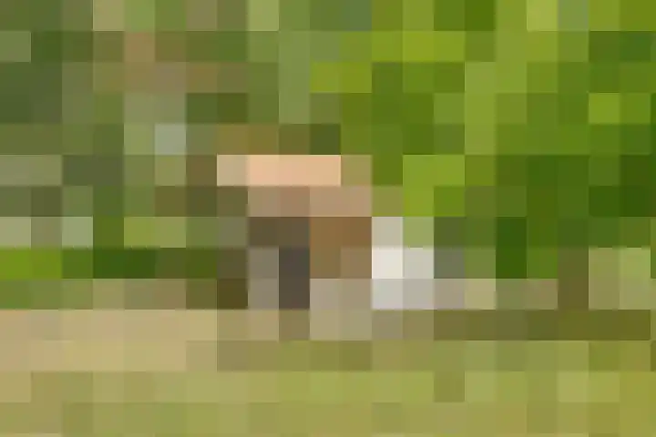 Bovenhaarweg 10 5 Leersum thumbnail 18