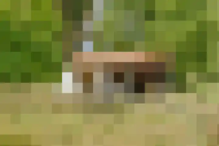 Bovenhaarweg 10 5 Leersum thumbnail 19