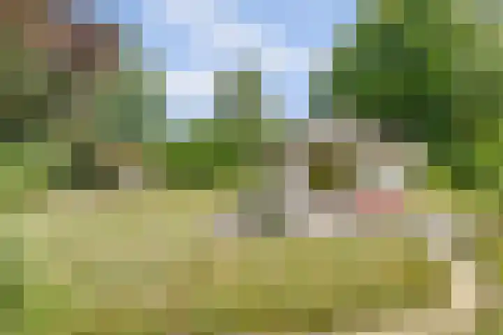 Bovenhaarweg 10 5 Leersum thumbnail 24