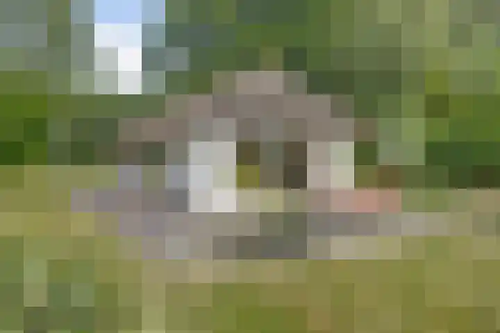 Bovenhaarweg 10 5 Leersum thumbnail 25