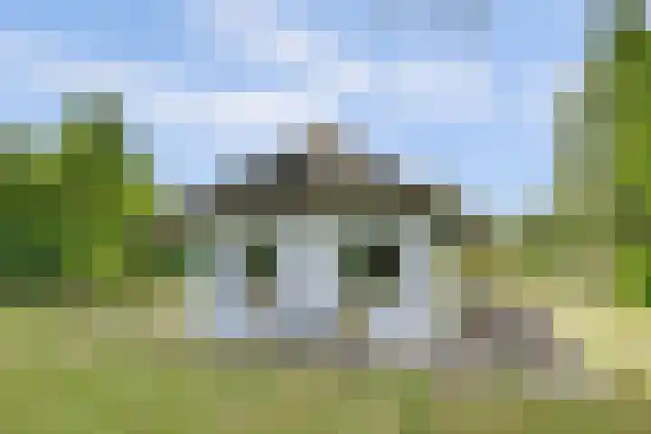 Bovenhaarweg 10 5 Leersum thumbnail 26