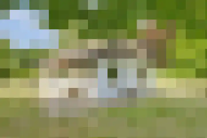 Bovenhaarweg 10 5 Leersum thumbnail 27