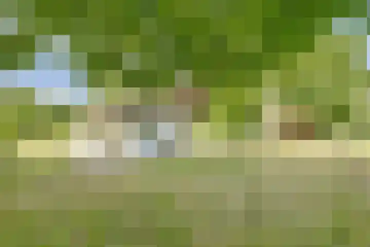 Bovenhaarweg 10 5 Leersum thumbnail 28