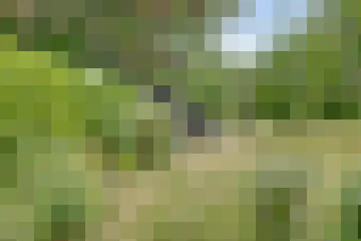 Bovenhaarweg 10 5 Leersum thumbnail 30