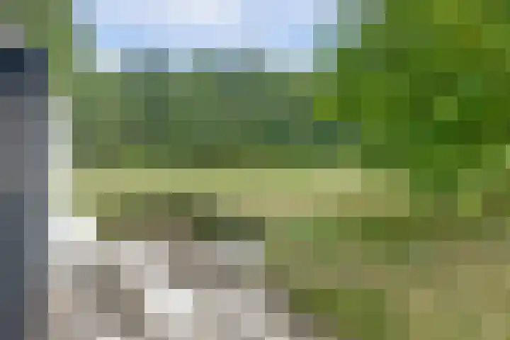 Bovenhaarweg 10 5 Leersum thumbnail 31