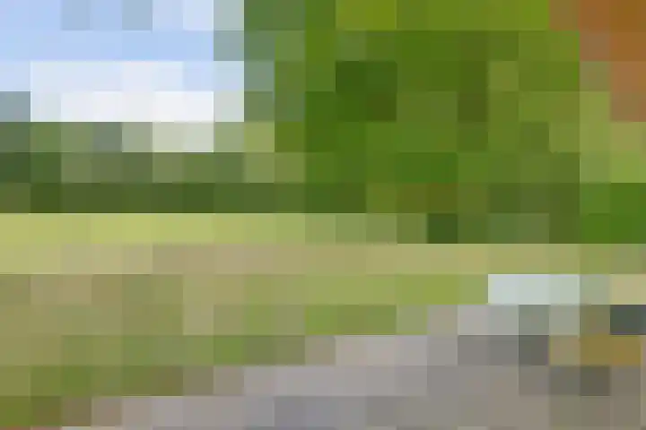 Bovenhaarweg 10 5 Leersum thumbnail 32