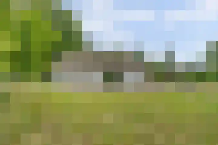 Bovenhaarweg 10 5 Leersum thumbnail 34