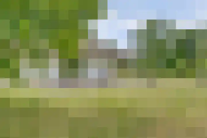 Bovenhaarweg 10 5 Leersum thumbnail 35