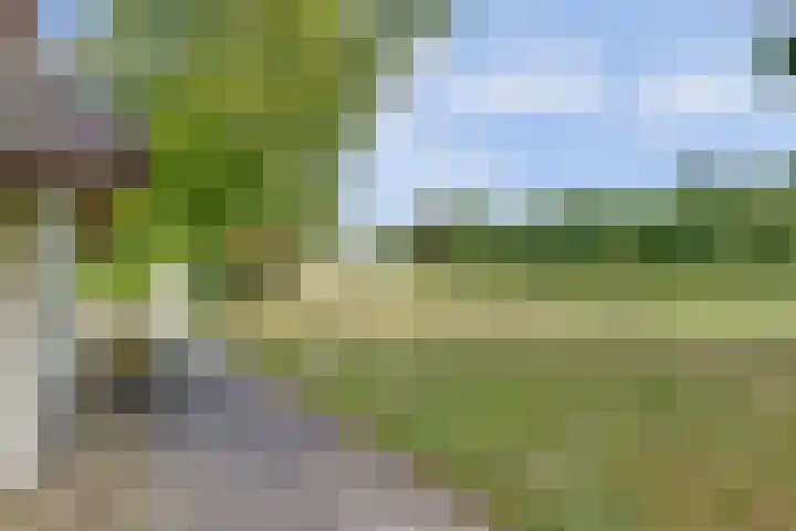 Bovenhaarweg 10 5 Leersum thumbnail 36