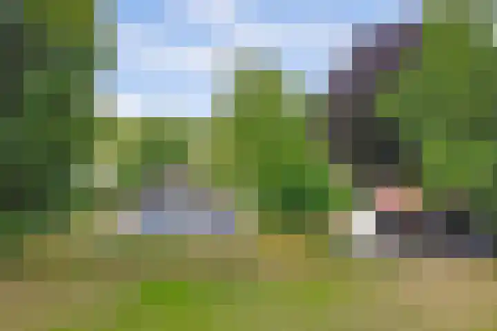 Bovenhaarweg 10 5 Leersum thumbnail 37