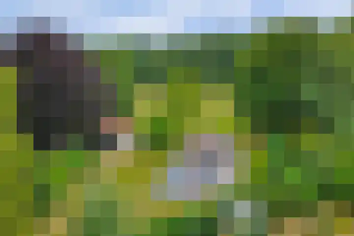 Bovenhaarweg 10 5 Leersum thumbnail 38