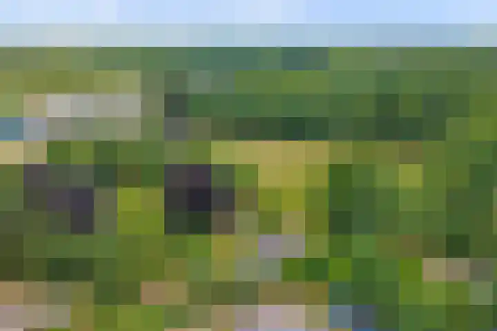 Bovenhaarweg 10 5 Leersum thumbnail 40