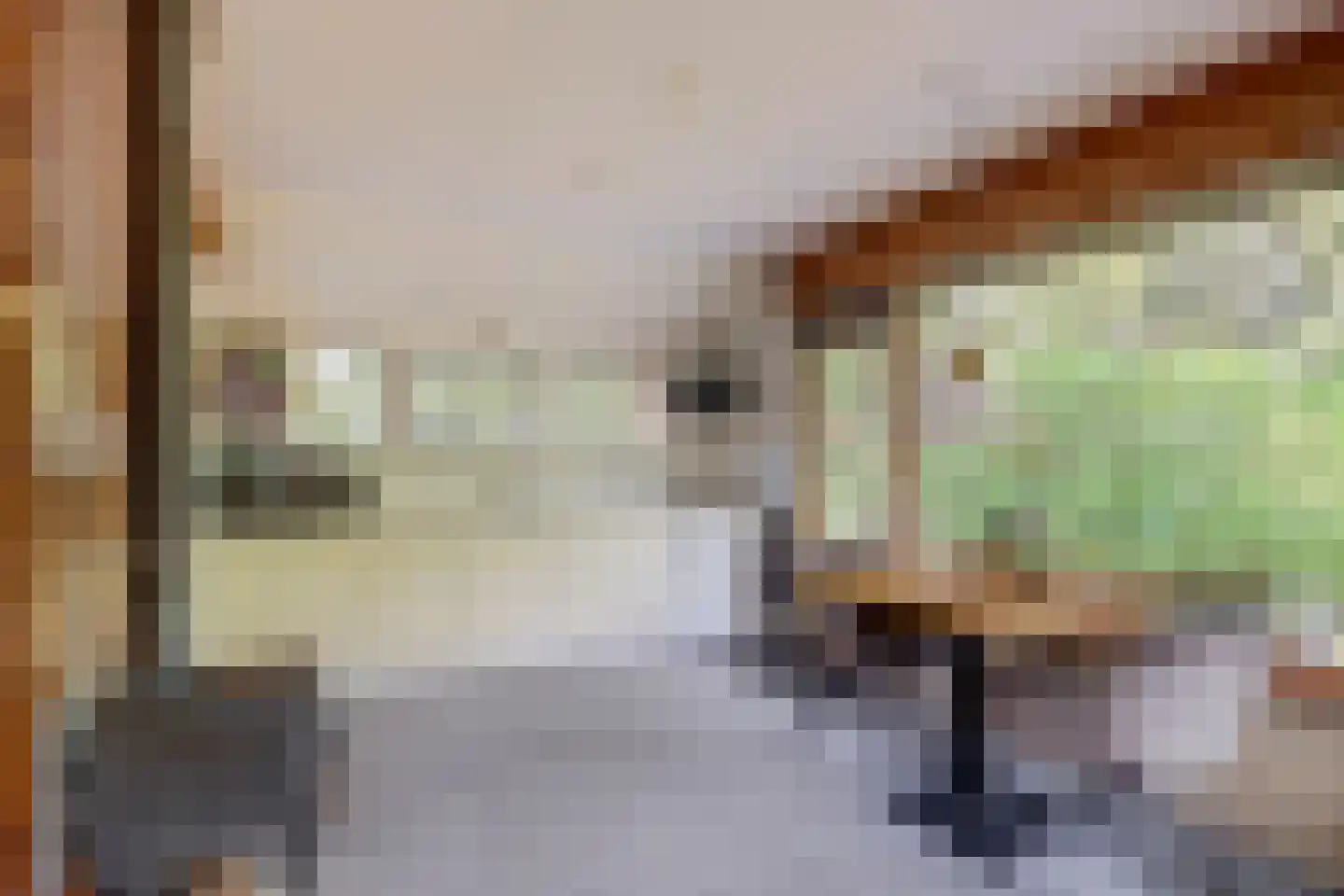 Bovenhaarweg 10 8 Leersum thumbnail 11