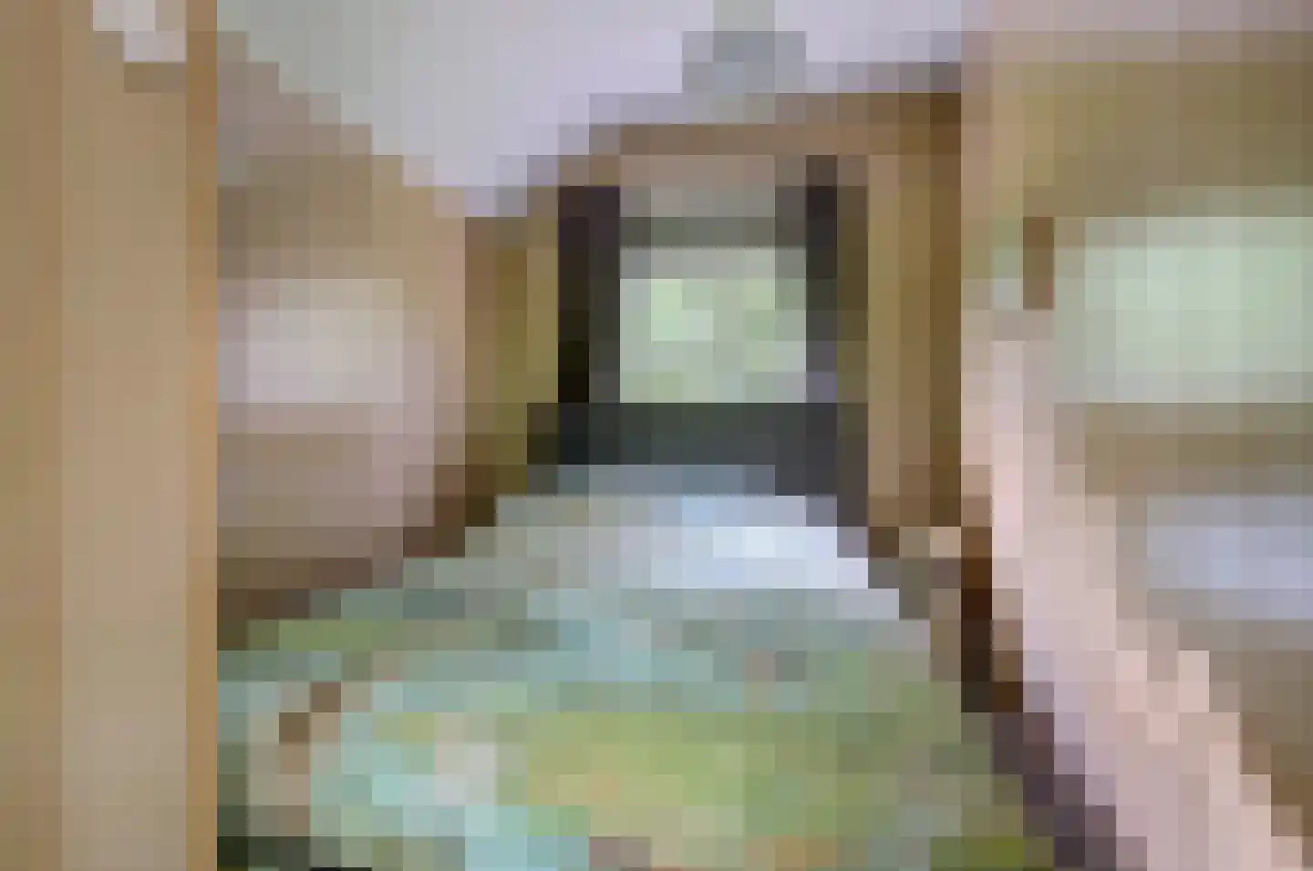 Bovenhaarweg 10 8 Leersum thumbnail 16