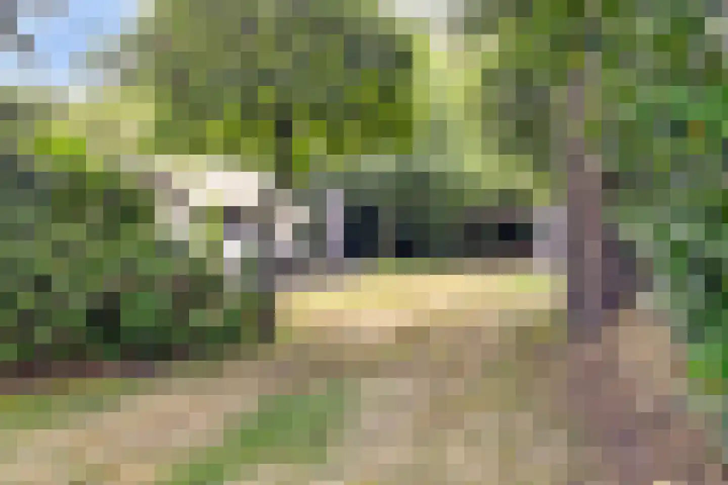 Bovenhaarweg 10 8 Leersum thumbnail 18