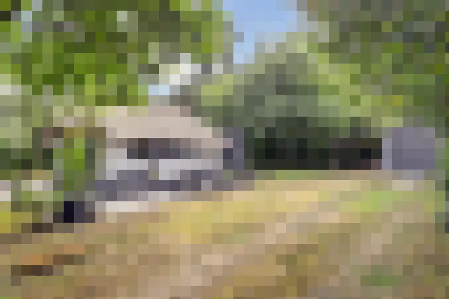 Bovenhaarweg 10 8 Leersum thumbnail 19