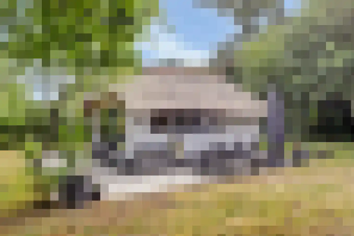 Bovenhaarweg 10 8 Leersum thumbnail 20