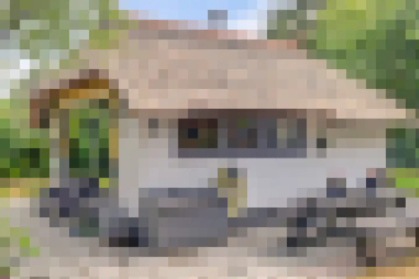 Bovenhaarweg 10 8 Leersum thumbnail 21