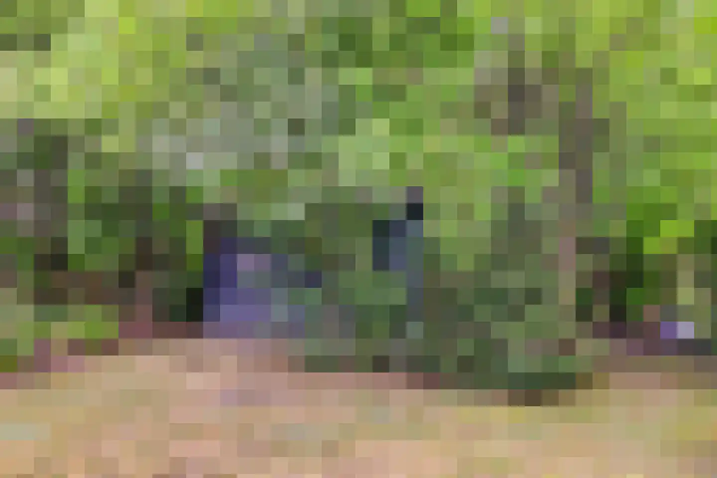 Bovenhaarweg 10 8 Leersum thumbnail 26
