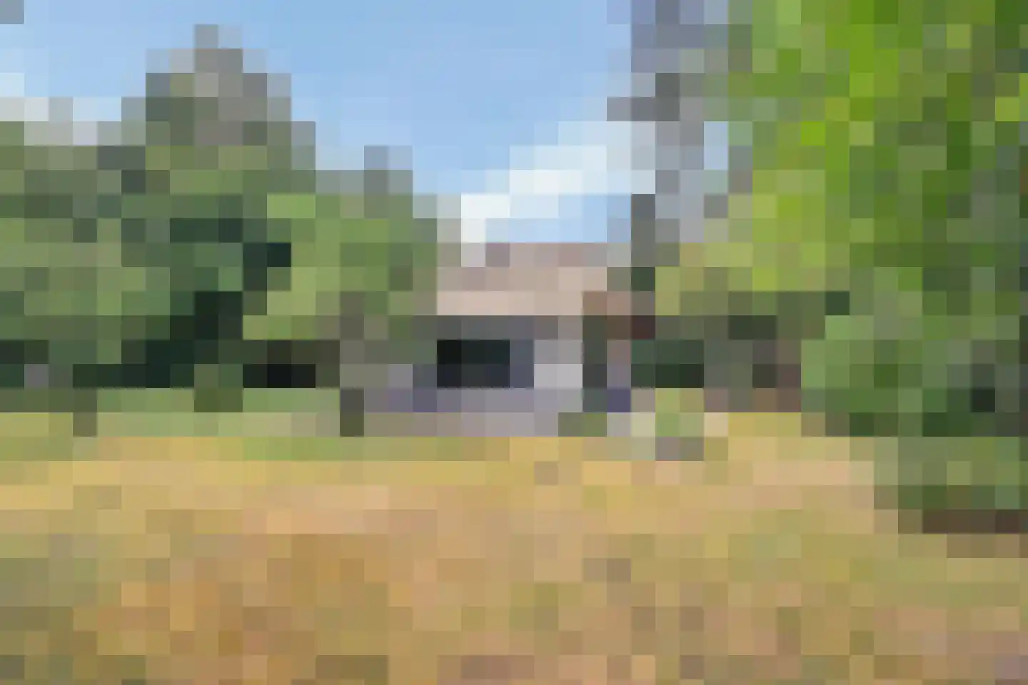 Bovenhaarweg 10 8 Leersum thumbnail 29