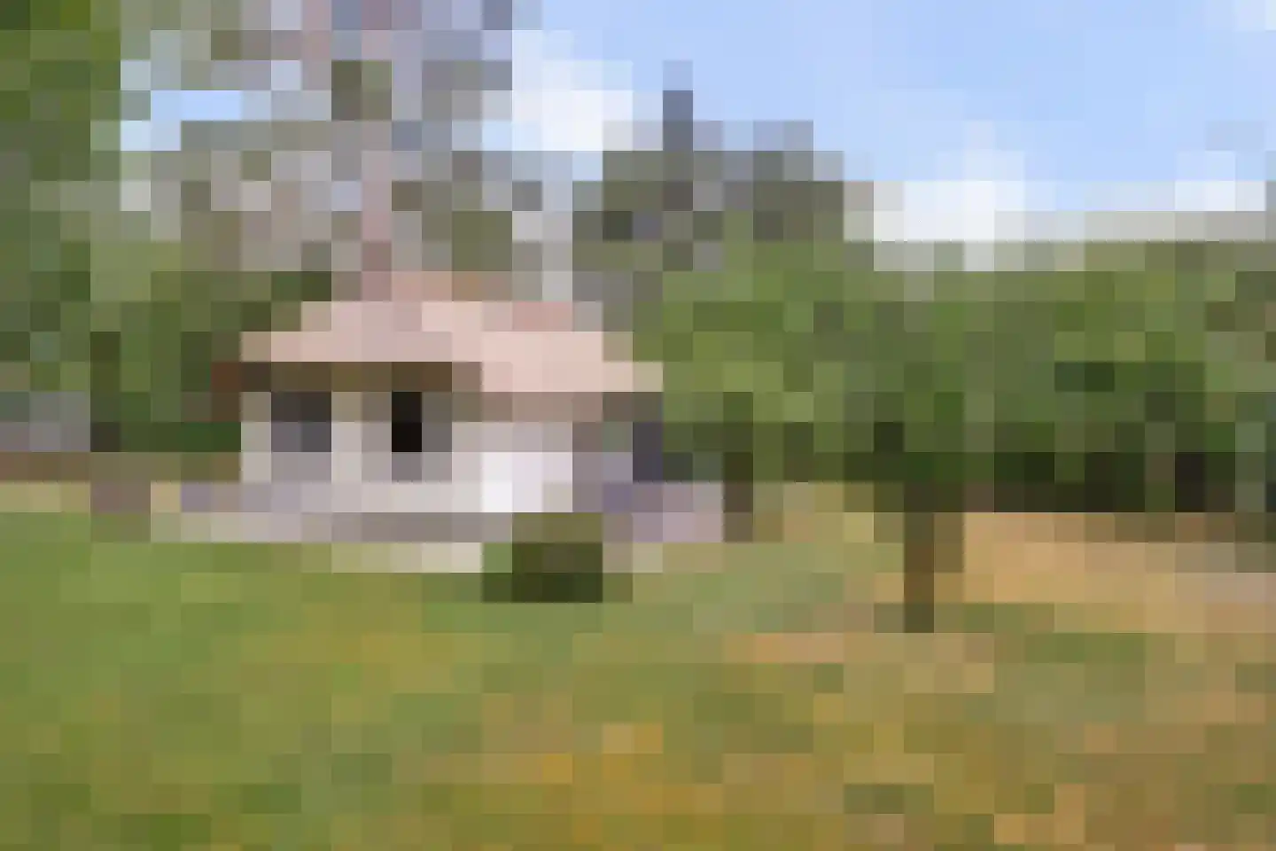 Bovenhaarweg 10 8 Leersum thumbnail 30