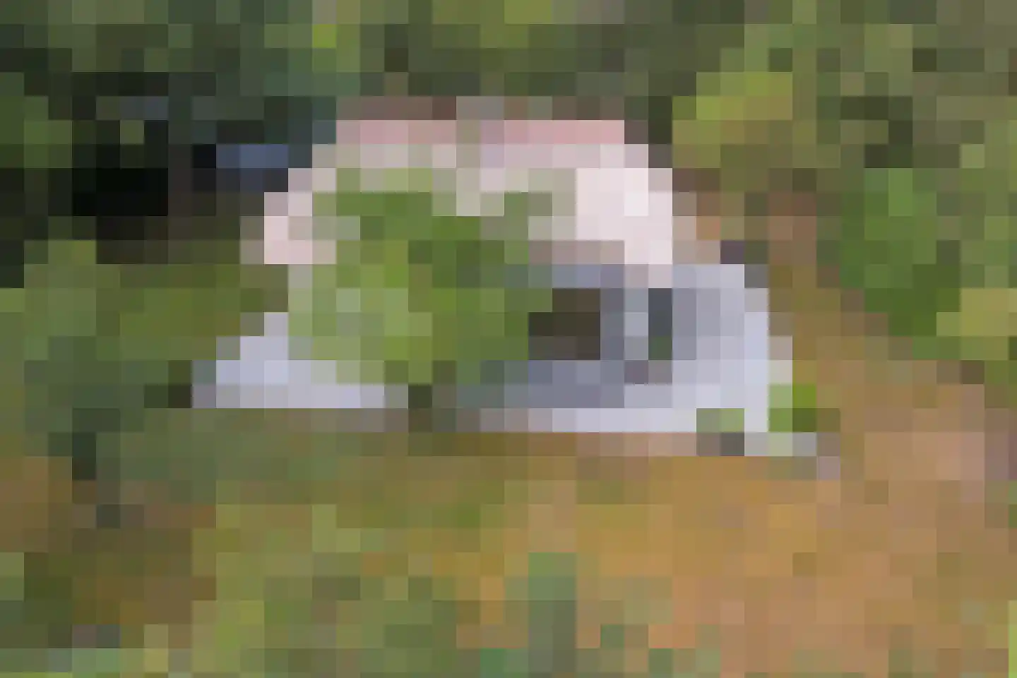 Bovenhaarweg 10 8 Leersum thumbnail 31