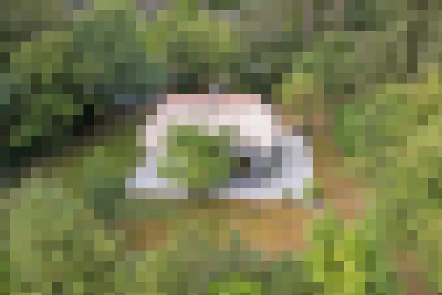 Bovenhaarweg 10 8 Leersum thumbnail 32