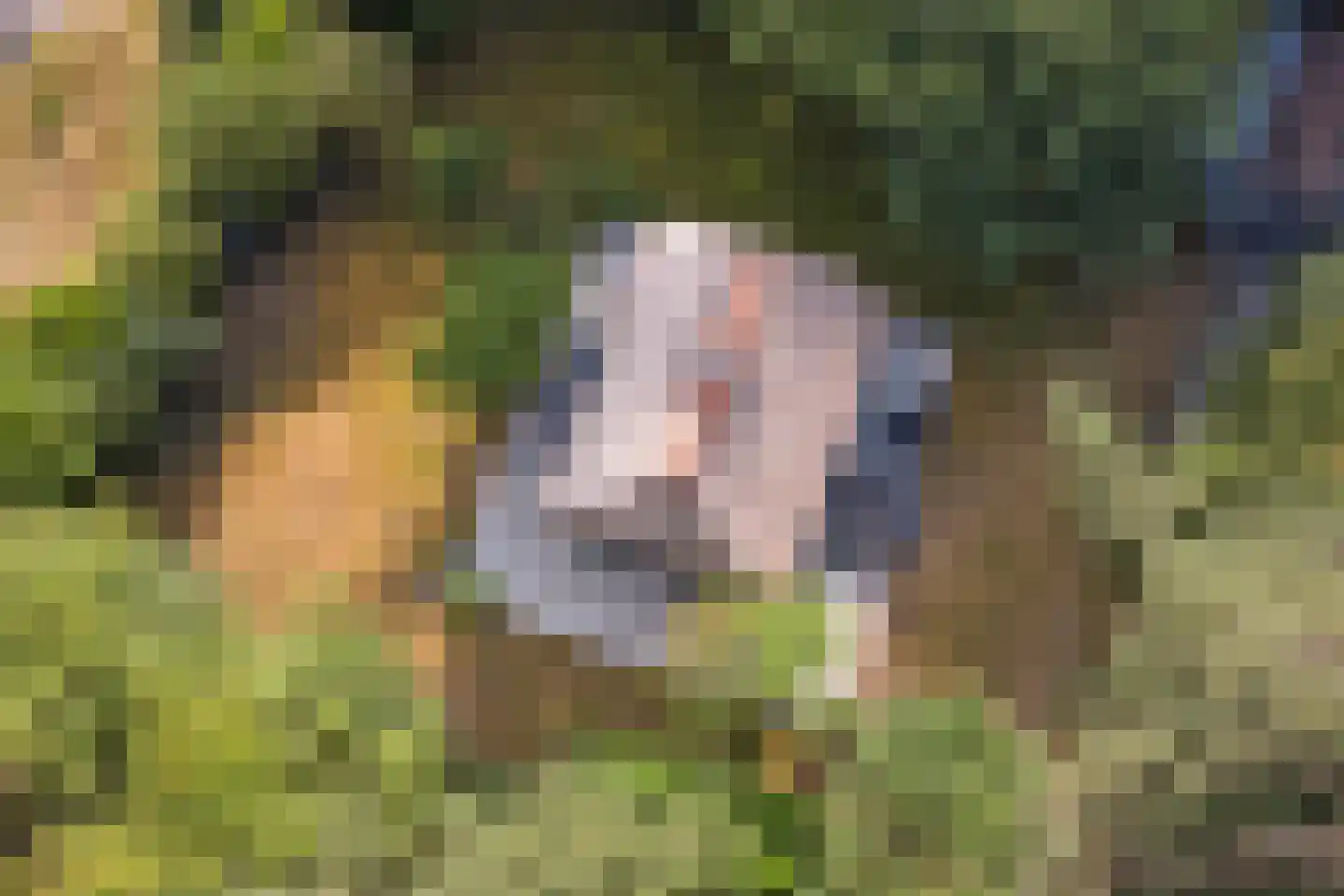 Bovenhaarweg 10 8 Leersum thumbnail 33