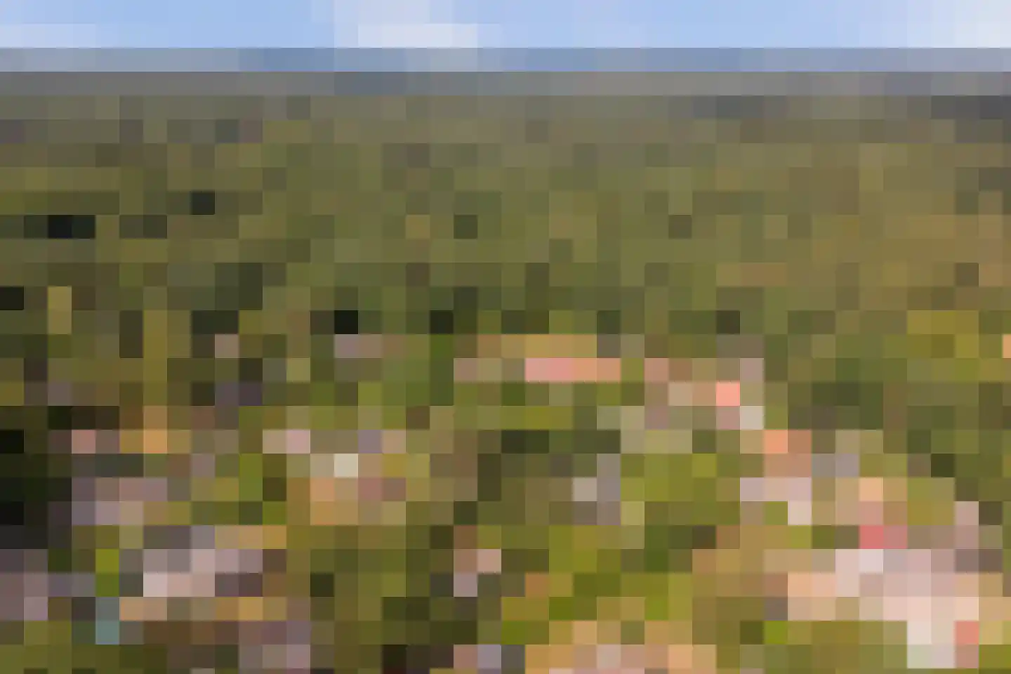 Bovenhaarweg 10 8 Leersum thumbnail 34