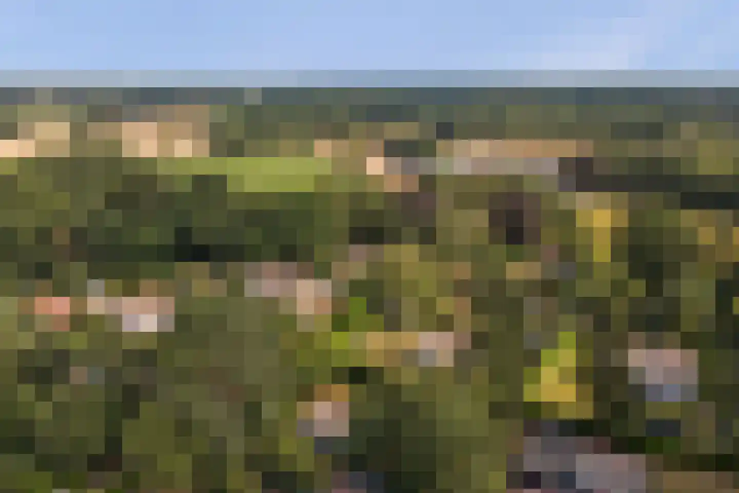 Bovenhaarweg 10 8 Leersum thumbnail 36