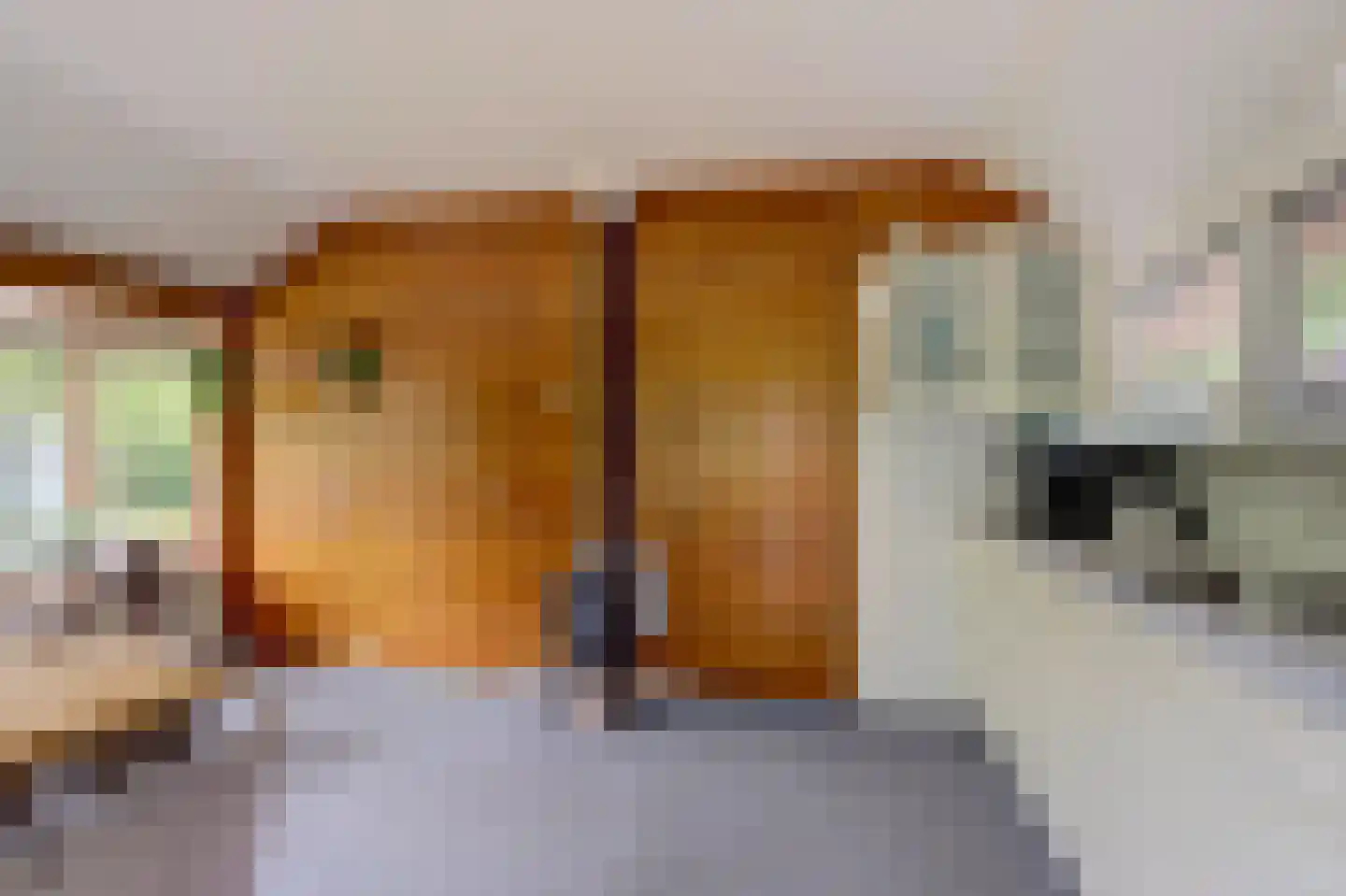 Bovenhaarweg 10 8 Leersum thumbnail 9