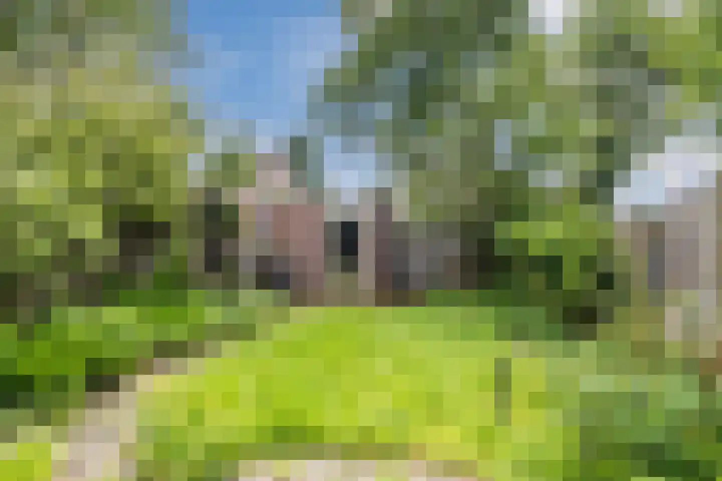 Bovenhei 10 Veldhoven thumbnail 29