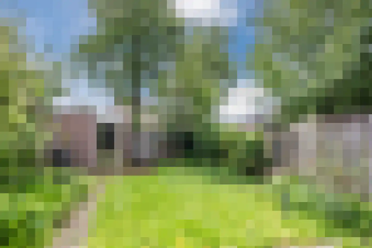 Bovenhei 10 Veldhoven thumbnail 30