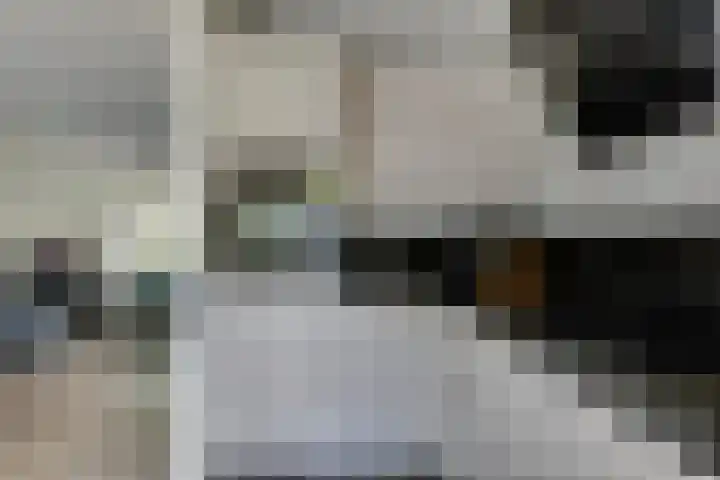 Bovenhei 108 Veldhoven thumbnail 12