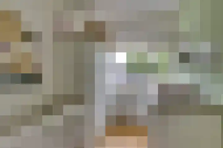 Bovenhei 108 Veldhoven thumbnail 19