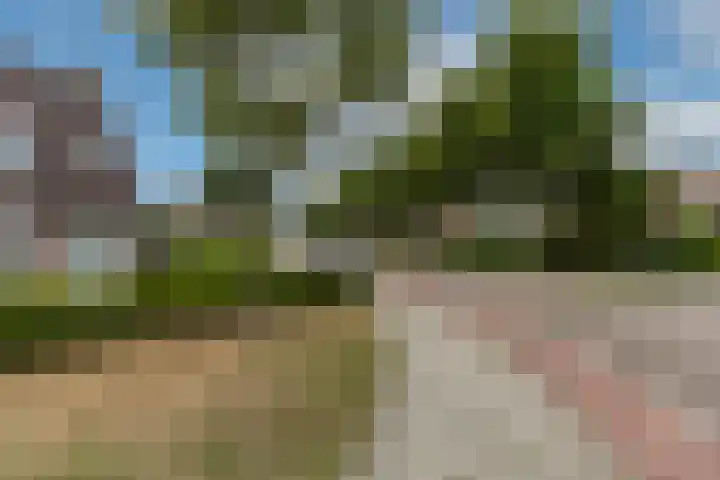 Bovenhei 108 Veldhoven thumbnail 37