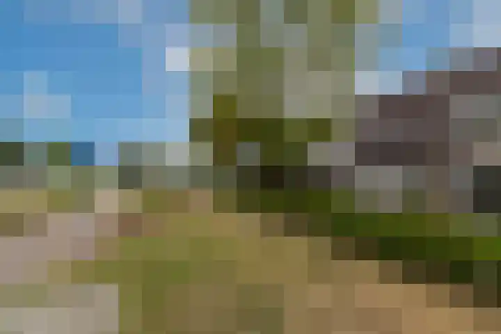 Bovenhei 108 Veldhoven thumbnail 38