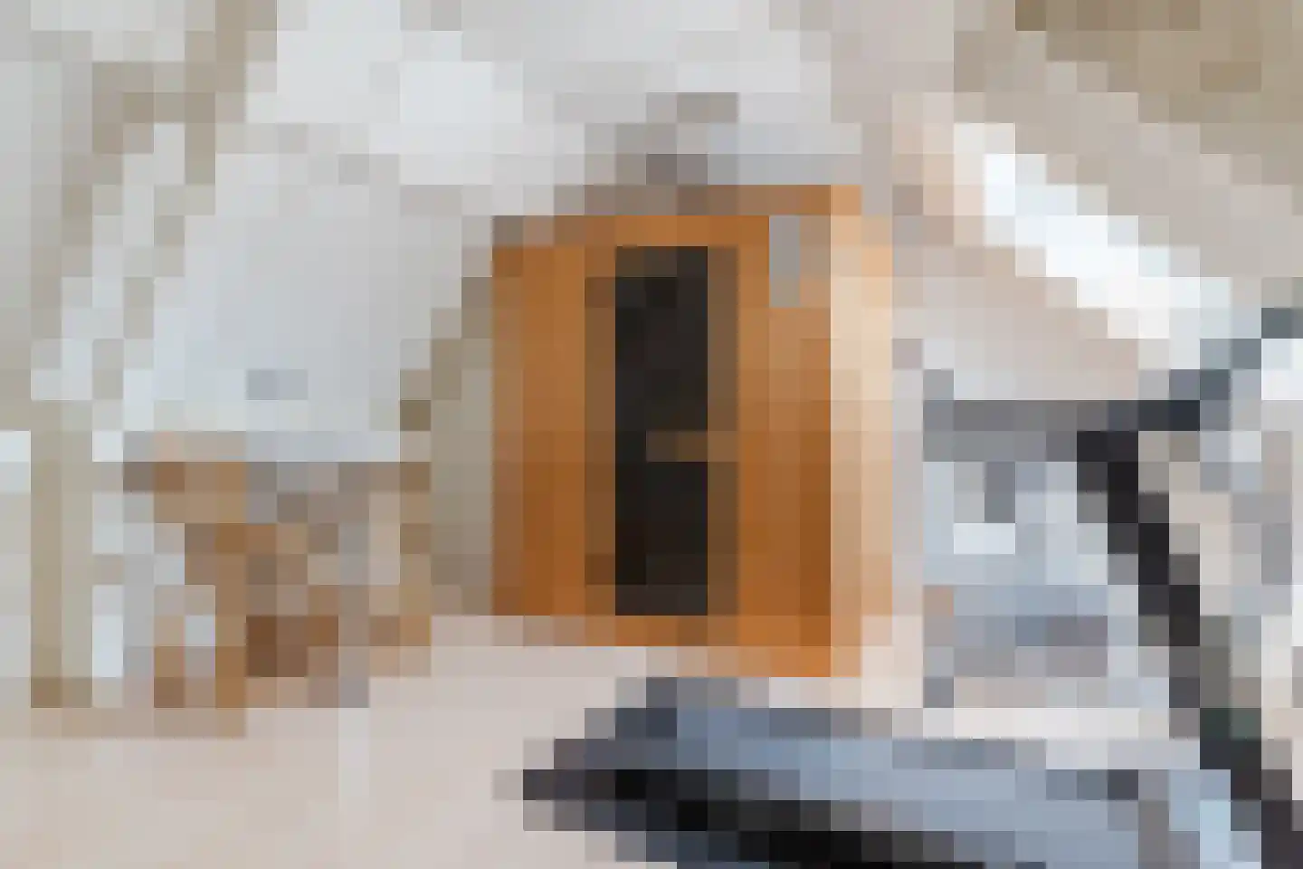 Bovenhei 110 Veldhoven thumbnail 27