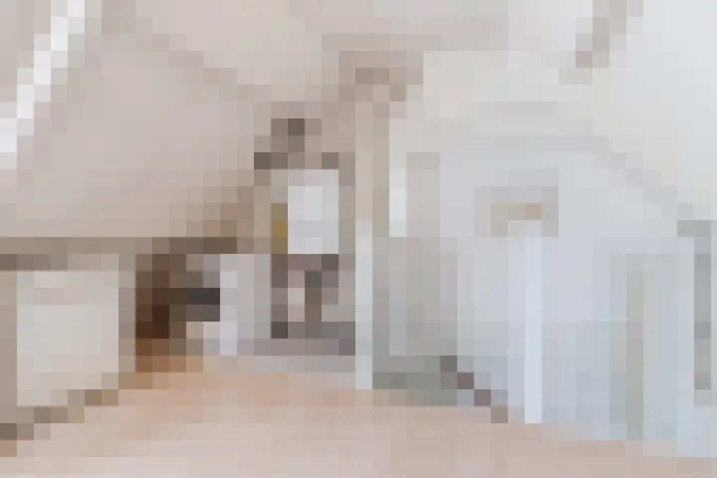 Bovenhei 110 Veldhoven thumbnail 29
