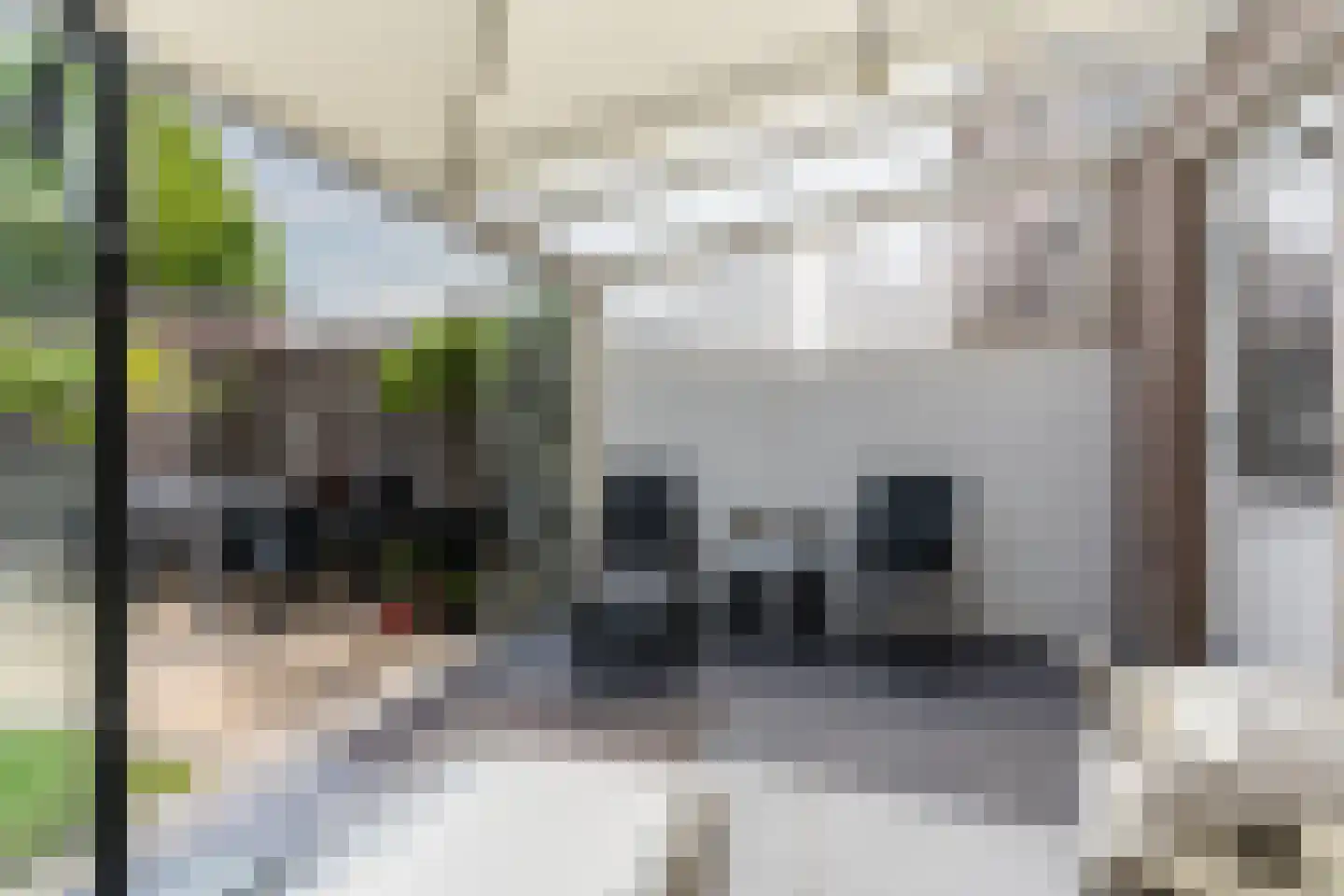 Bovenhei 110 Veldhoven thumbnail 32