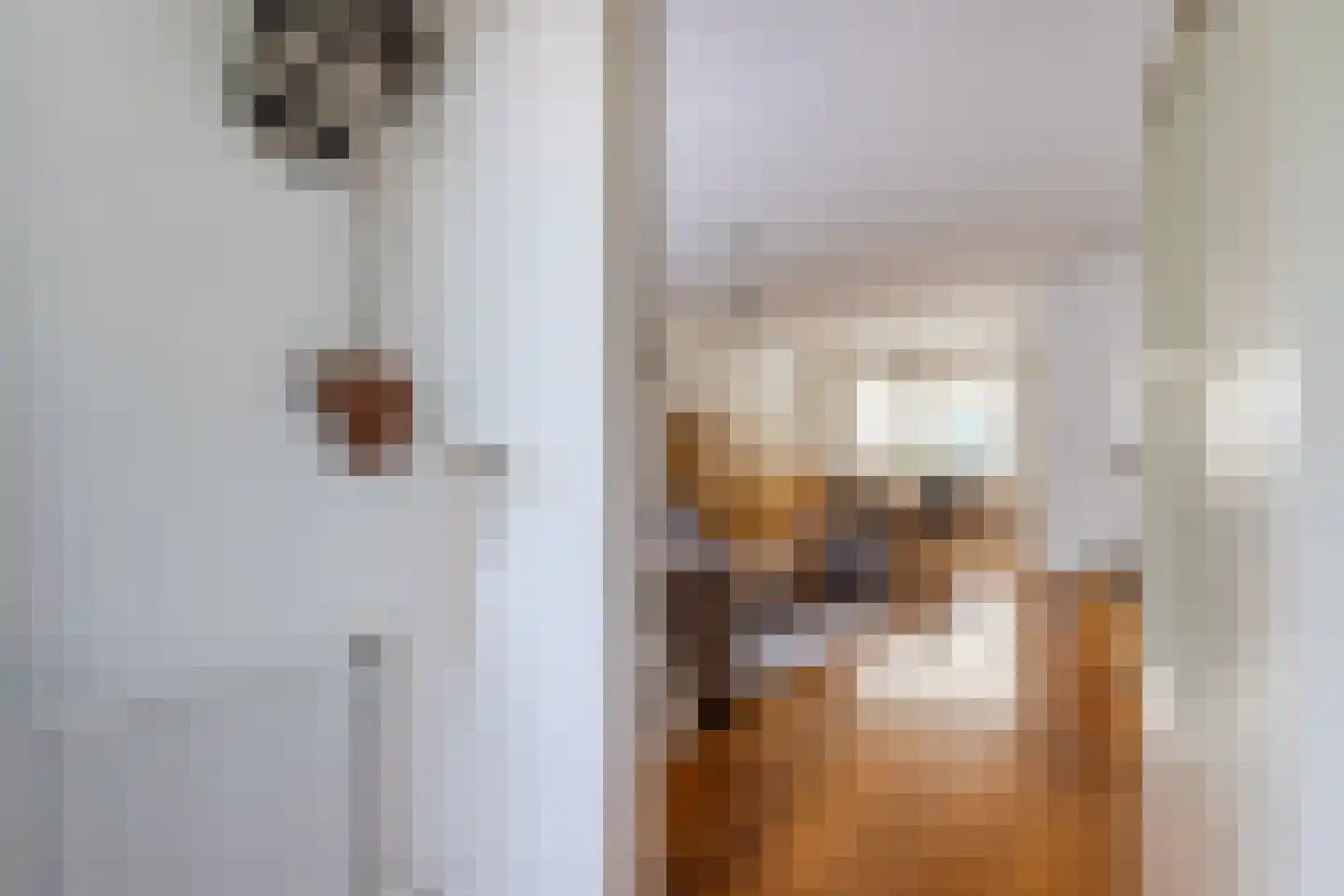 Bovenhei 110 Veldhoven thumbnail 8
