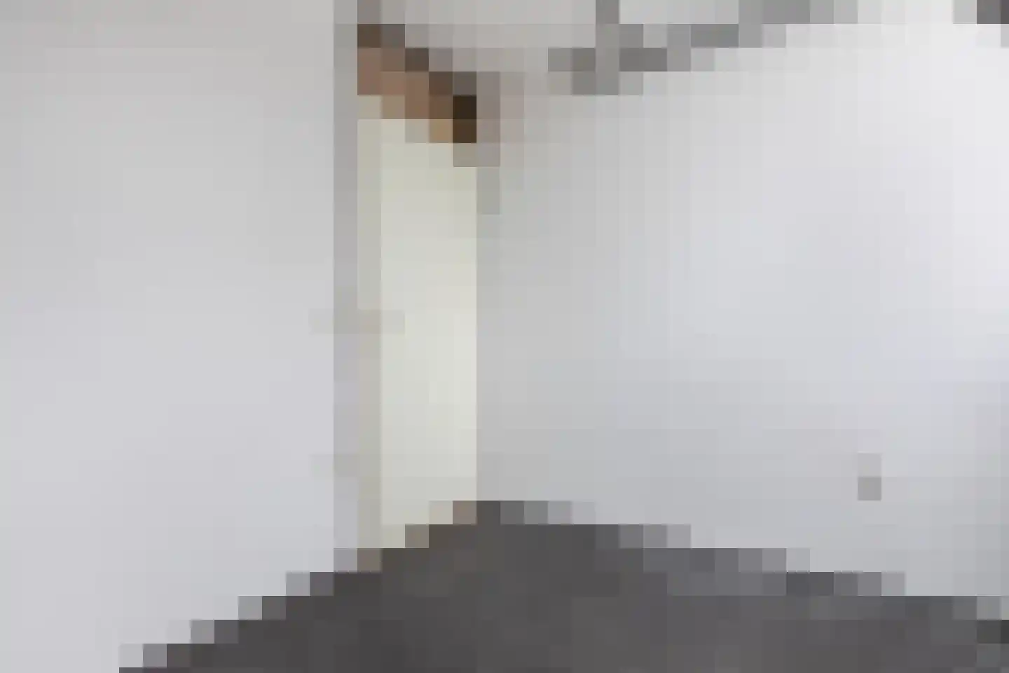 Bovenhei 18 Veldhoven thumbnail 18