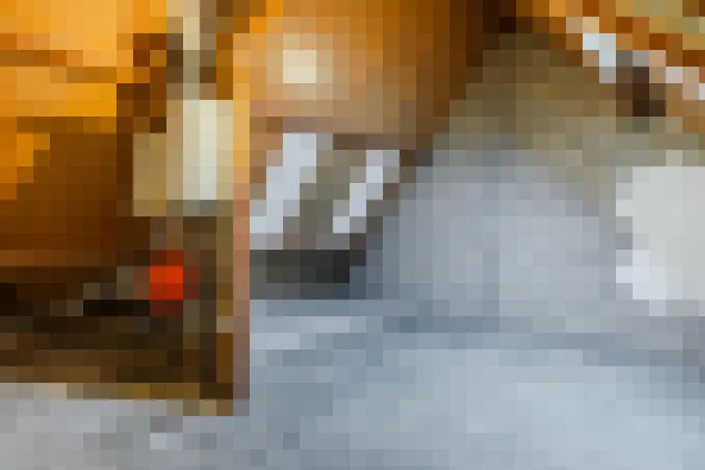Bovenhei 18 Veldhoven thumbnail 28