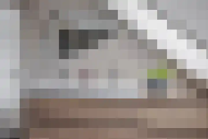 Bovenhei 38 Veldhoven thumbnail 20