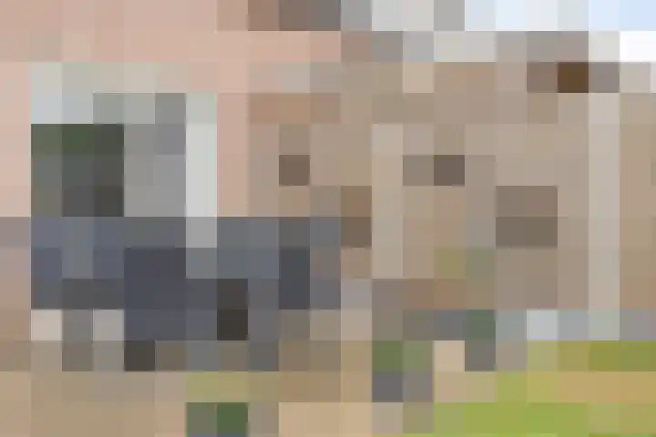 Bovenhei 38 Veldhoven thumbnail 36