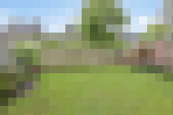 Bovenhei 38 Veldhoven thumbnail 37