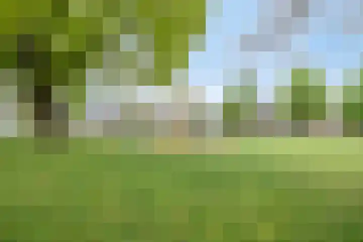 Bovenhei 38 Veldhoven thumbnail 46