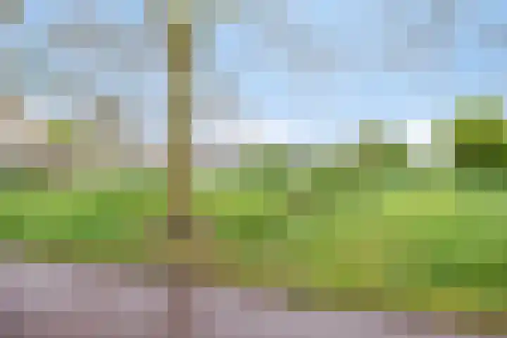 Bovenhei 38 Veldhoven thumbnail 48